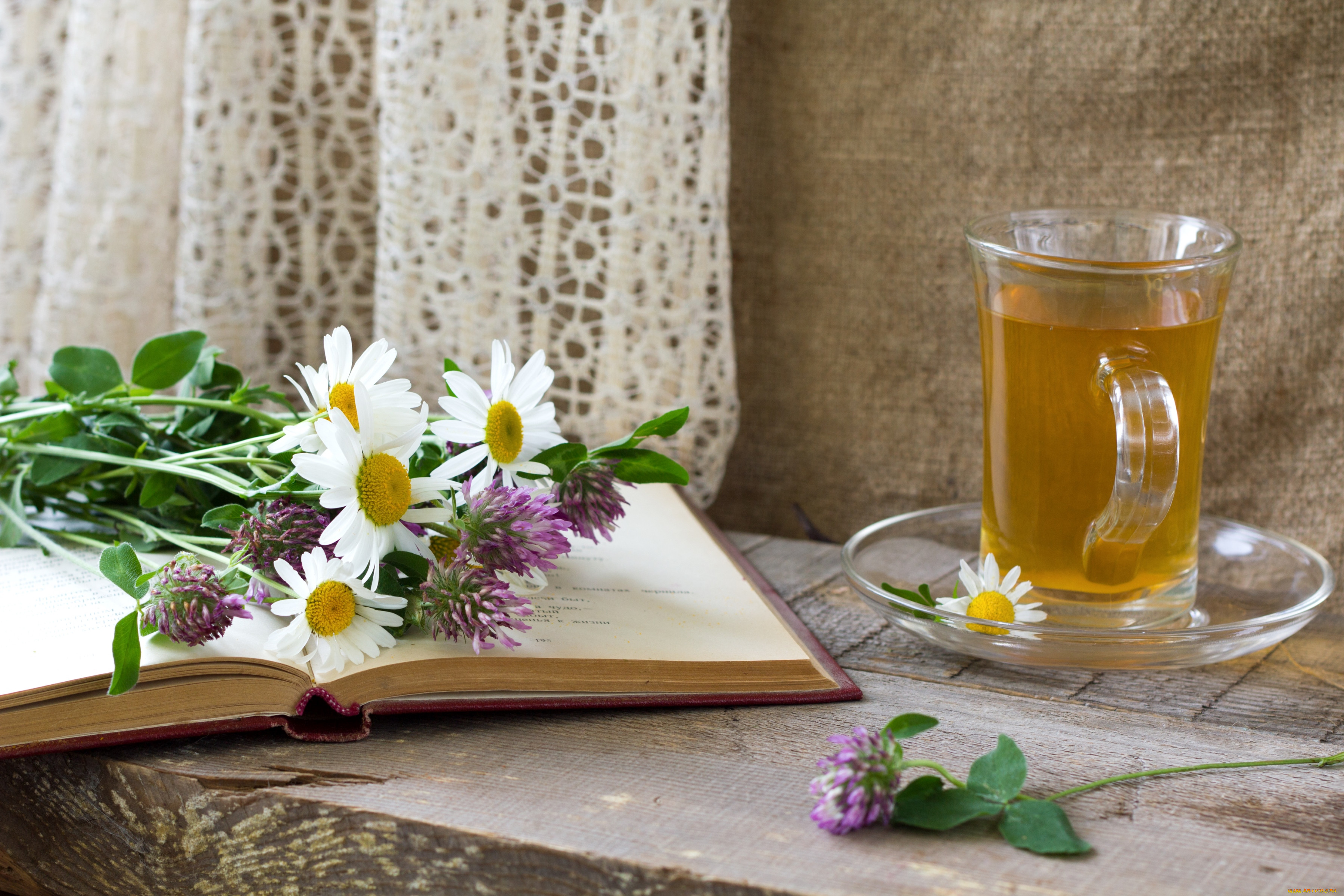 Доброе утро хорошего дня чаи. Чай с цветами. Полевые цветы и чай. Доброе утро чай. Утро лето.